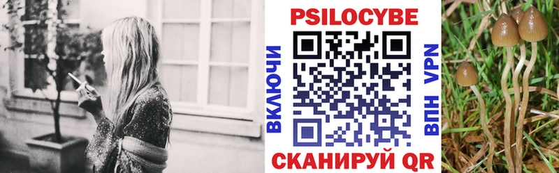закладки OMG зеркало Галлюциногенные грибы Psilocybine cubensis Бирюч